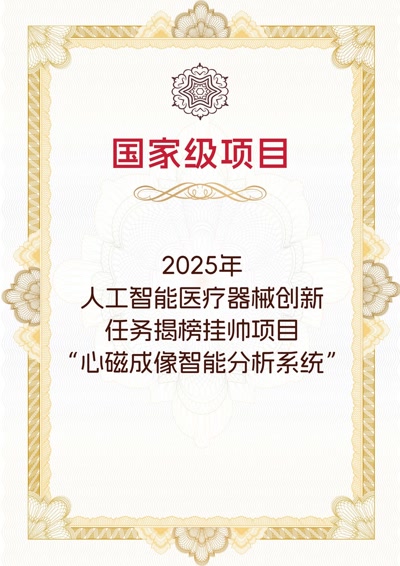 心磁成像智能分析系统