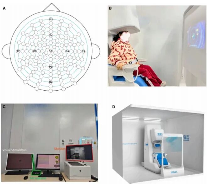 《iScience》刊发：脑磁破解儿童语言障碍研究难题