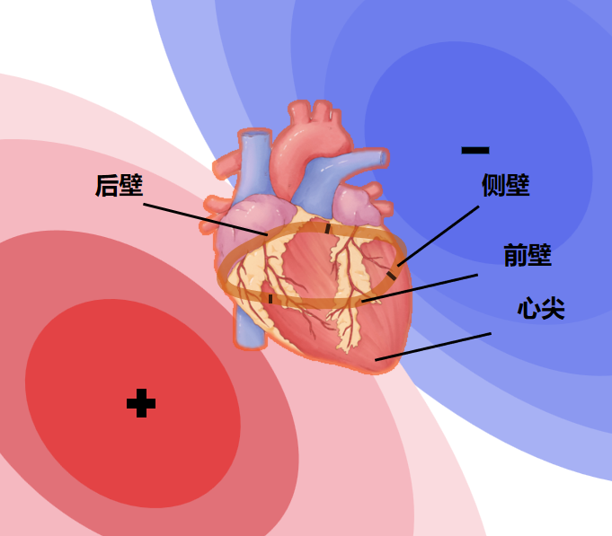 心磁成像设备